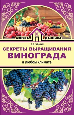 Секреты выращивания винограда в любом климате. Проверенные способы формировки винограда