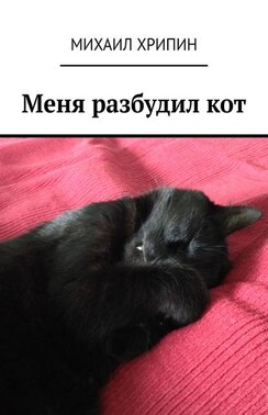 Меня разбудил кот