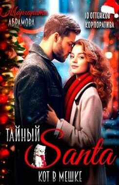 Тайный Санта. Кот в мешке