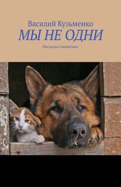МЫ НЕ ОДНИ. Рассказы о животных